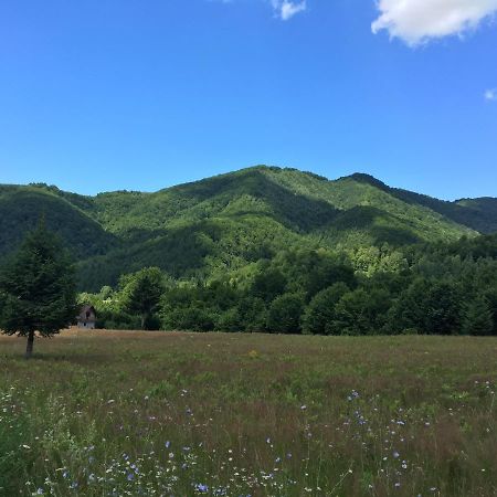 The Green House - Apuseni Mountains Pietroasa  Екстер'єр фото