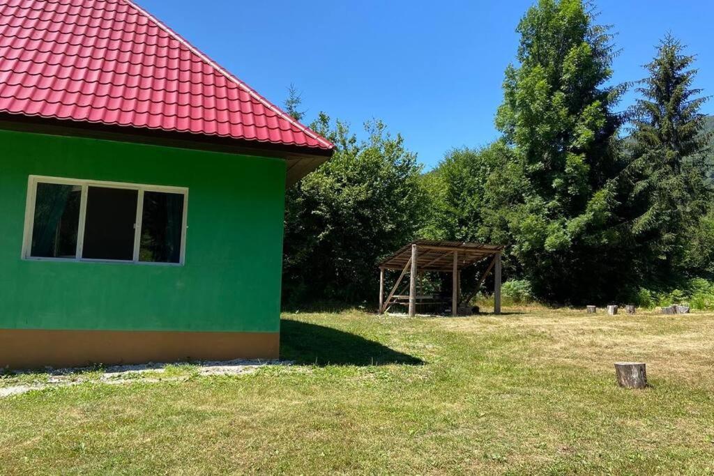 The Green House - Apuseni Mountains Pietroasa  Екстер'єр фото