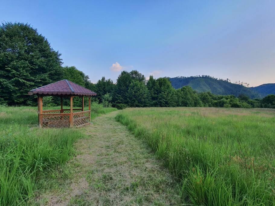 The Green House - Apuseni Mountains Pietroasa  Екстер'єр фото
