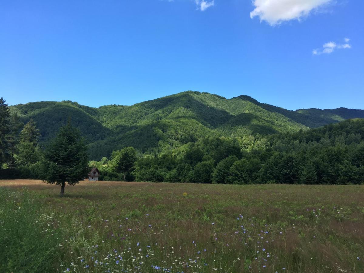 The Green House - Apuseni Mountains Pietroasa  Екстер'єр фото