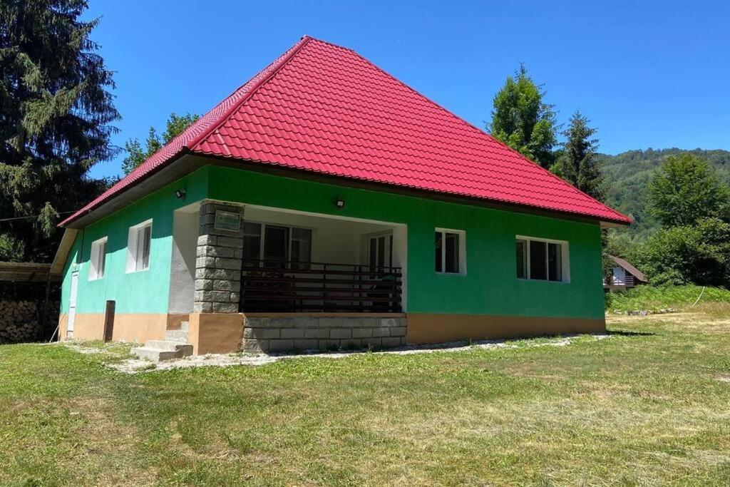 The Green House - Apuseni Mountains Pietroasa  Екстер'єр фото
