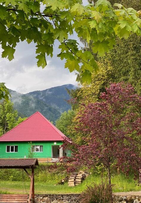 The Green House - Apuseni Mountains Pietroasa  Екстер'єр фото