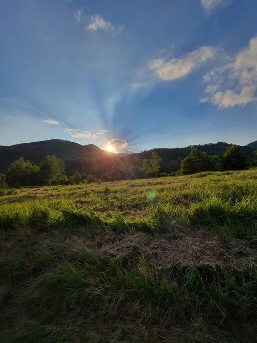 The Green House - Apuseni Mountains Pietroasa  Екстер'єр фото